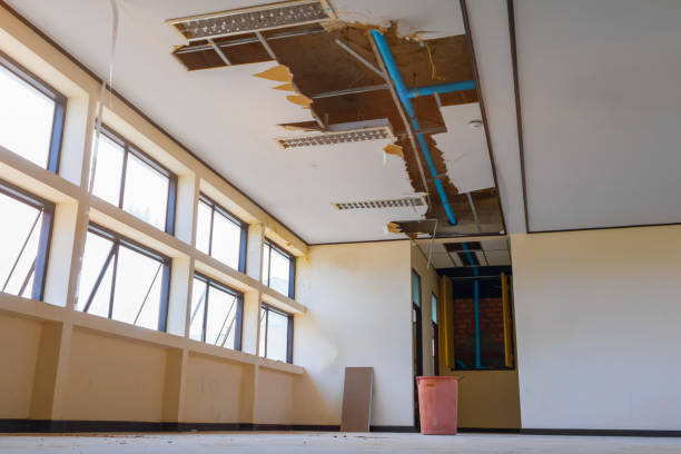 Best Basement water damage restoration  in Viola, NY