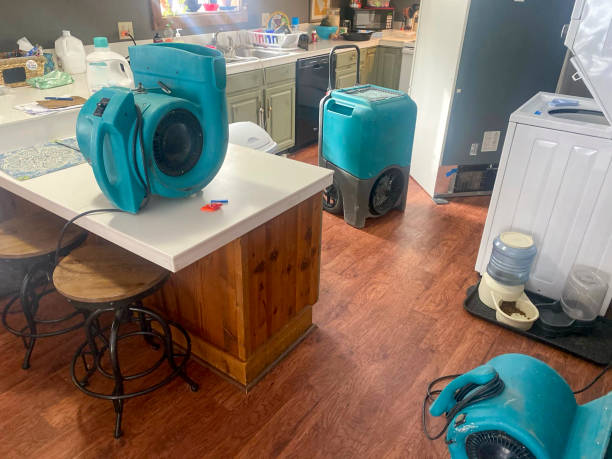 Best Residential water damage restoration  in Viola, NY