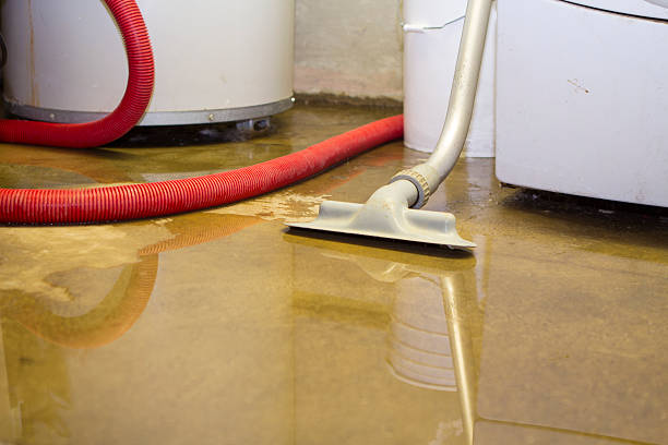 Best Sewage cleanup and water damage restoration  in Viola, NY