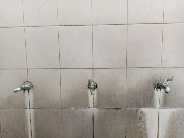 Best Fire Damage Restoration  in Viola, NY