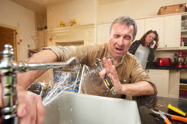  Viola, NY Water damage restoration Pros